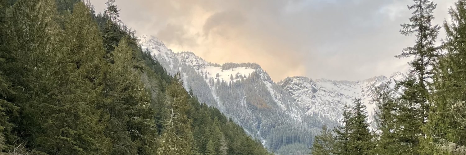 wattmeston's profile banner image