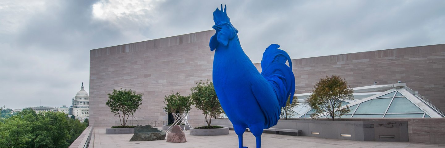 Micronational Council banner