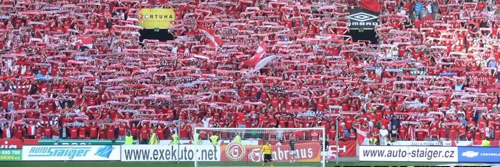 David Gorský banner