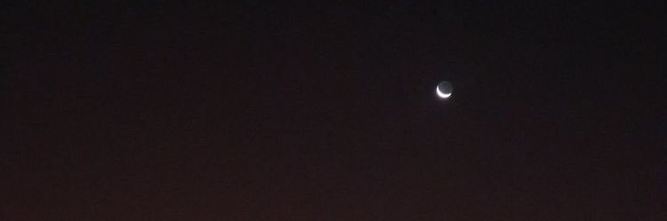 Semi-Furry banner