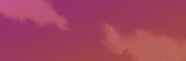 chunky's banner