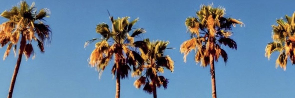 suzichenford75's profile banner image