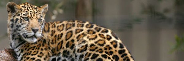 compute25 Profile Banner