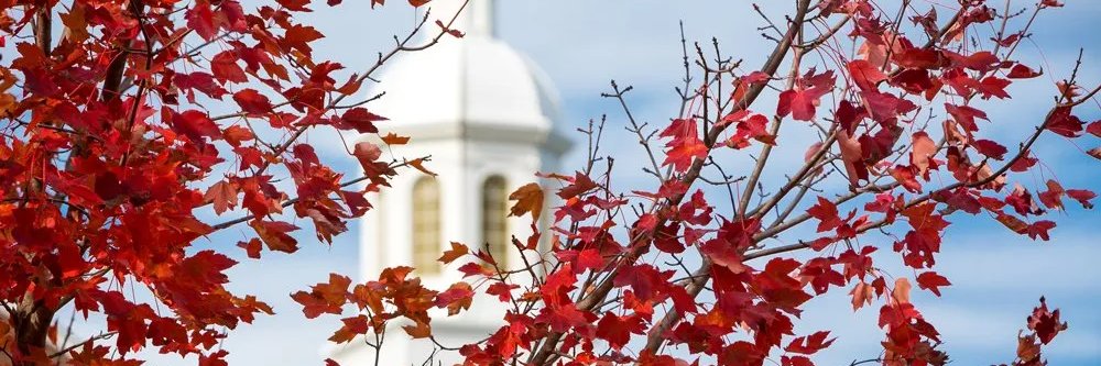 PittCC's profile banner image