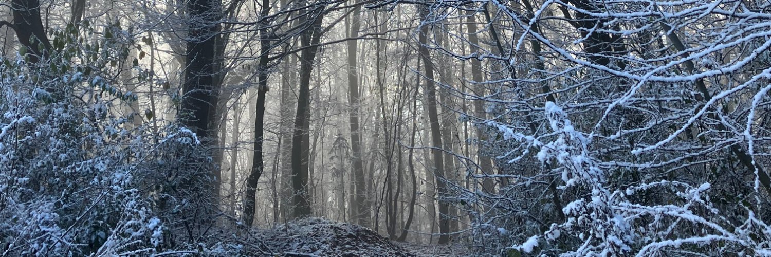 𝕪𝕒𝕓𝕠𝕪 banner