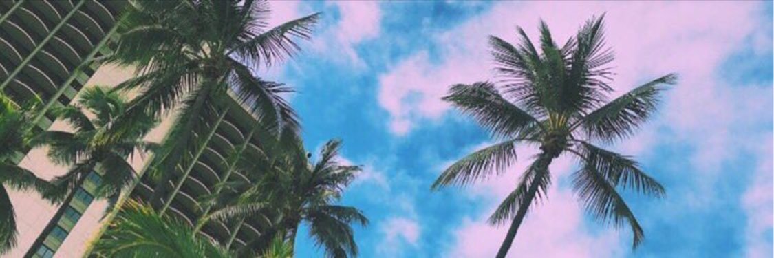 __savvysav's profile banner image