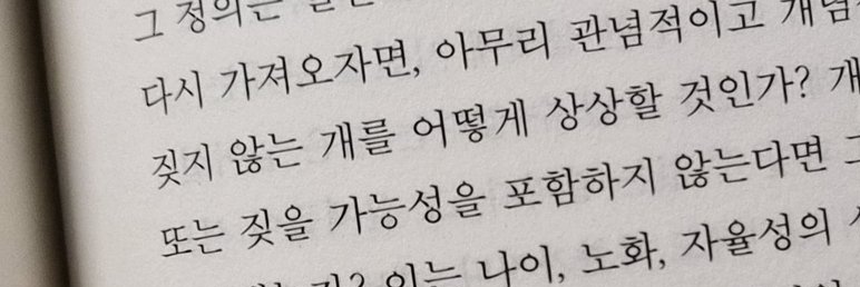 좋은 책을 보면 짖는 편집자 banner