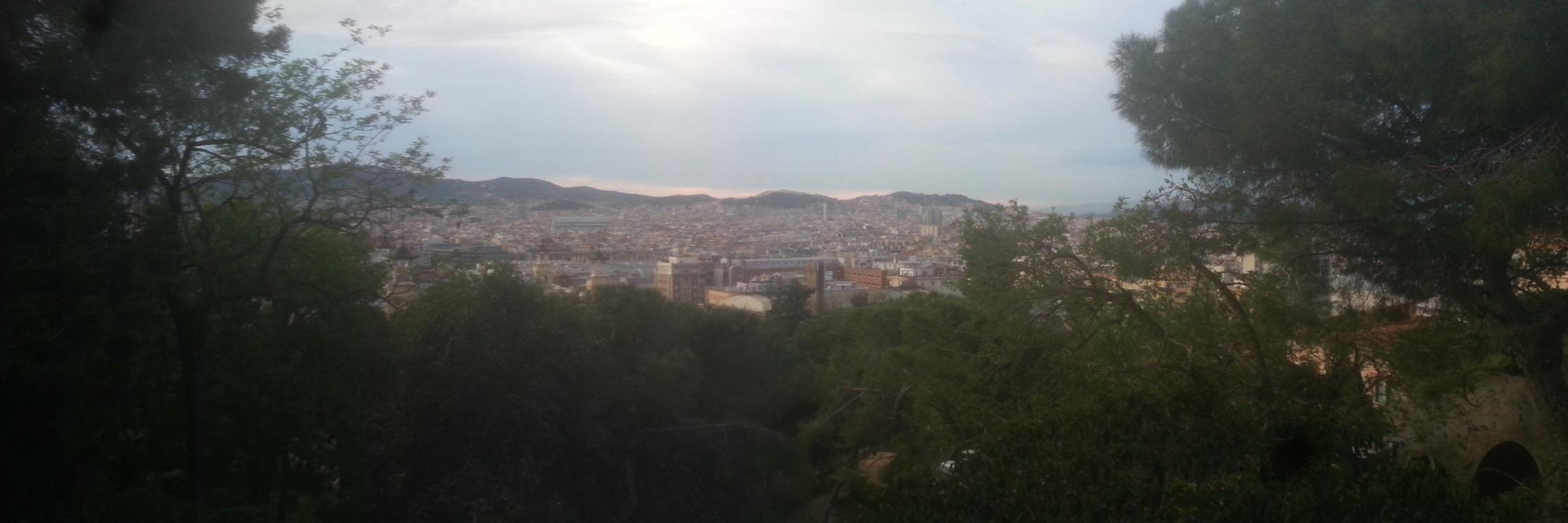 David Rodríguez banner