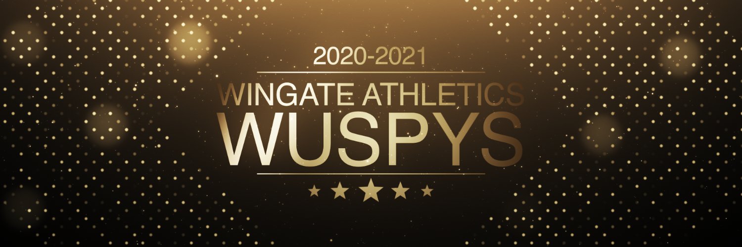 WUSPYS's profile banner image