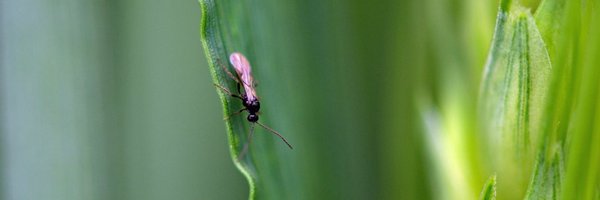 ThomasHeddle1 Profile Banner