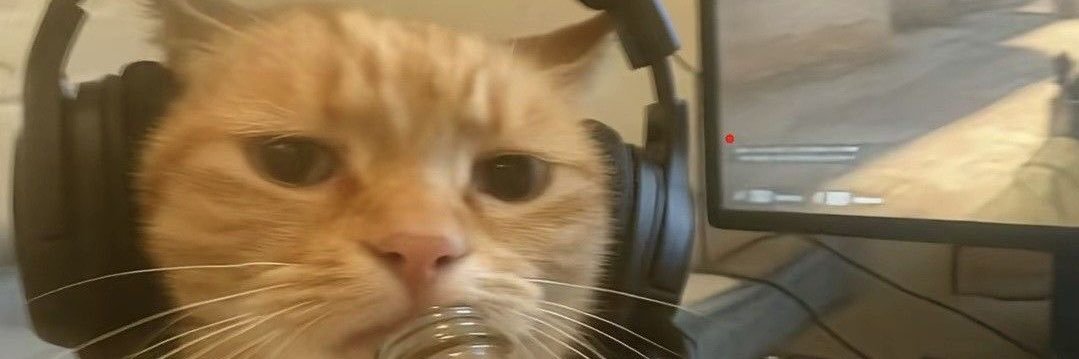 Marco Guillén banner