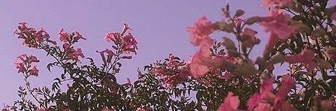 gimn02's profile banner image