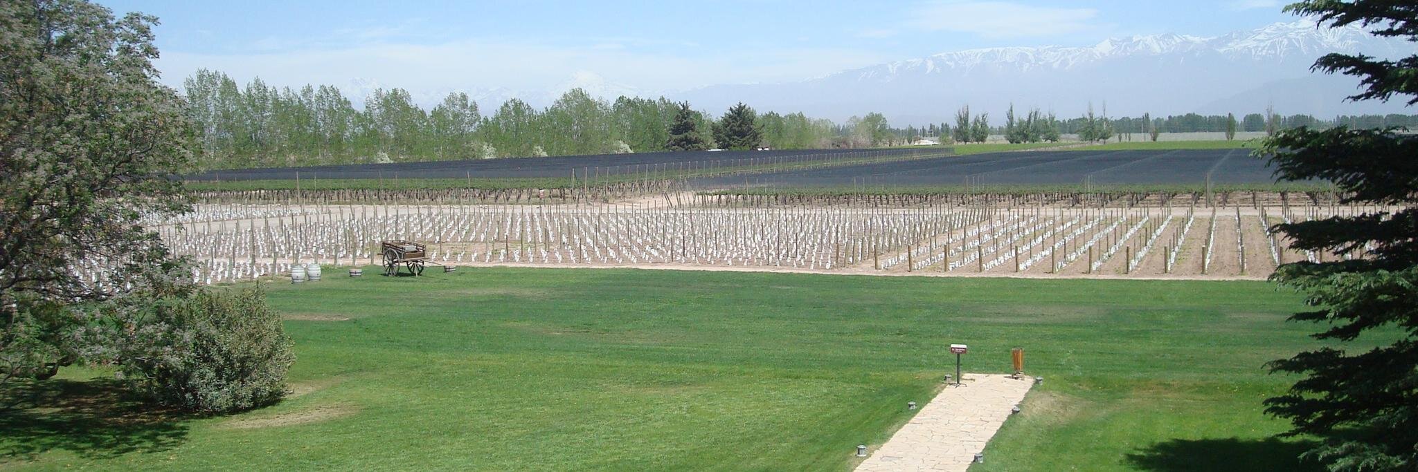 WehrliWines's profile banner image