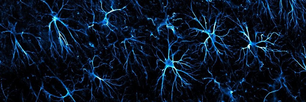 Cristina Boers Escuder banner