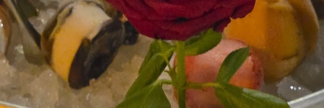 shunkaoch's profile banner image