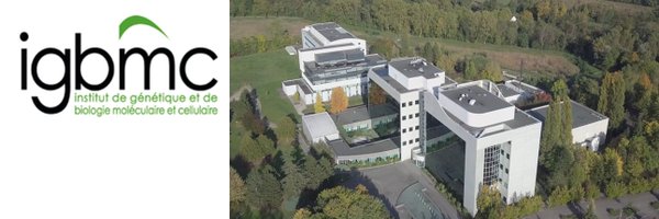 DevStem_Igbmc Profile Banner