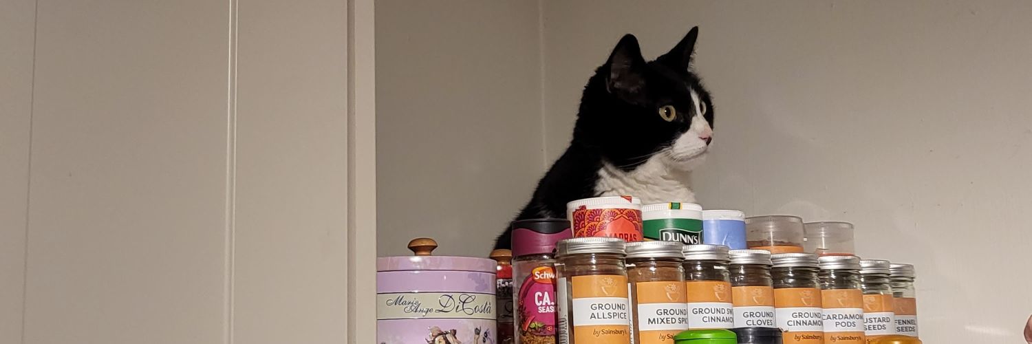 MrJGTodd's profile banner image