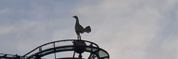 RonanWhitty Profile Banner