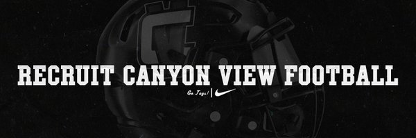 TheViewRecruit Profile Banner