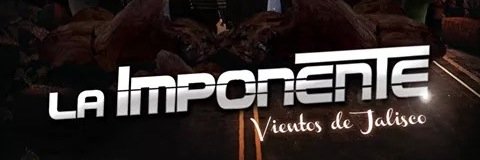 Memo Sanchez banner