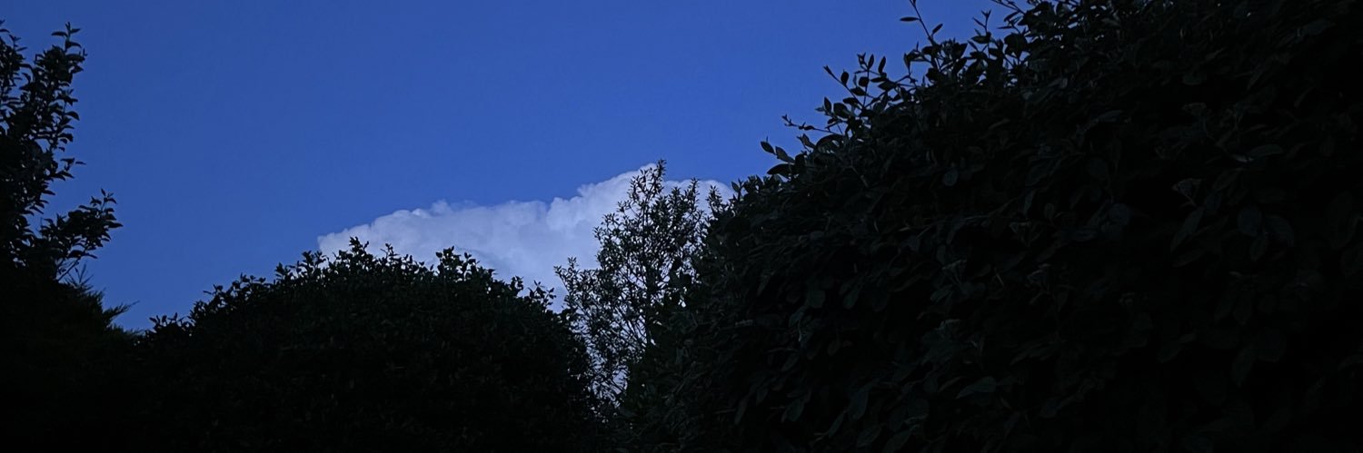 wheresjuul's profile banner image