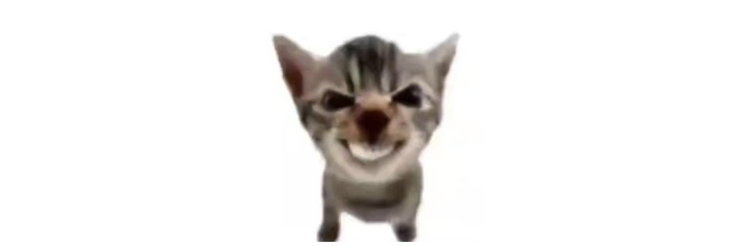 Bnedu666 banner
