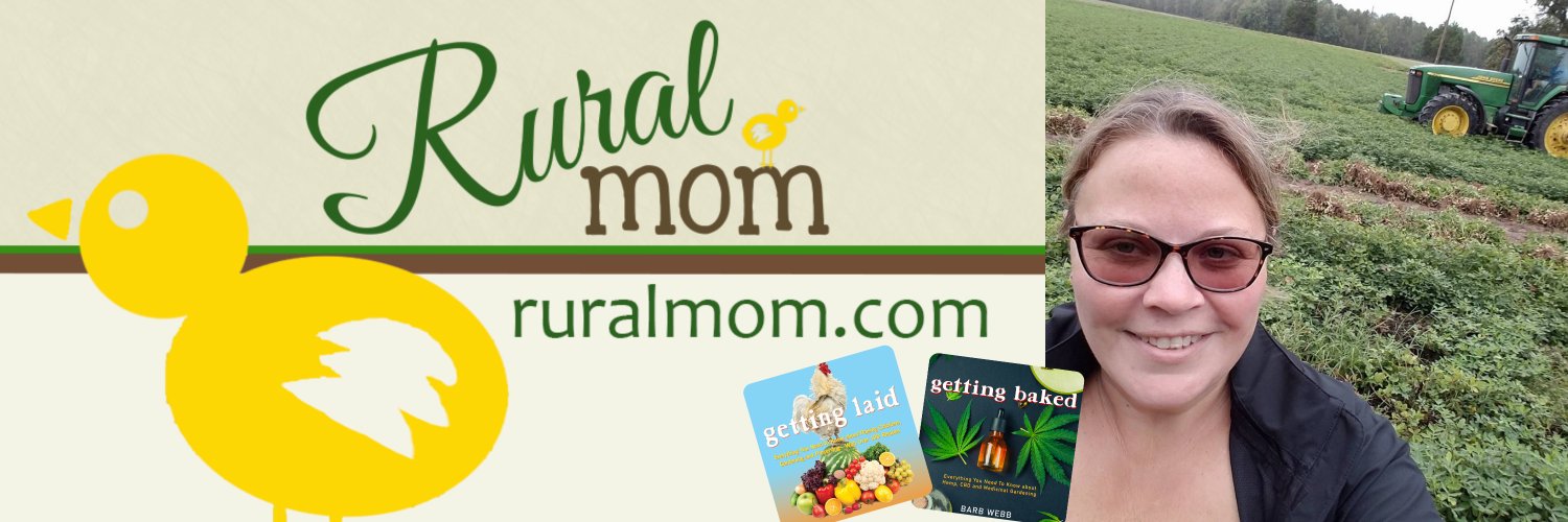 ruralmoms's profile banner image
