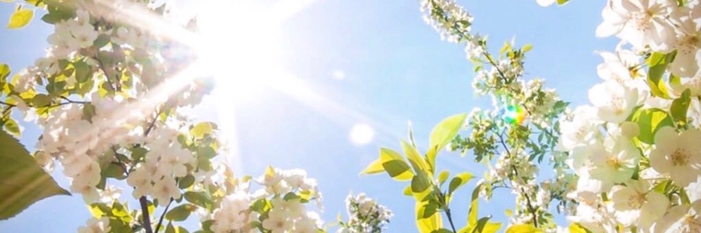 Meridlgc's profile banner image