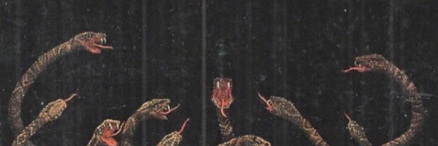 Banditka (꧁IP꧂) 🍊,💊 ⌘🛠️ banner