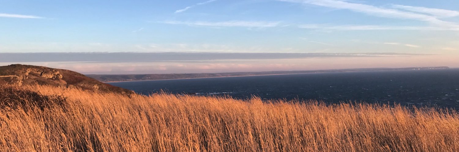 casslvrd's profile banner image