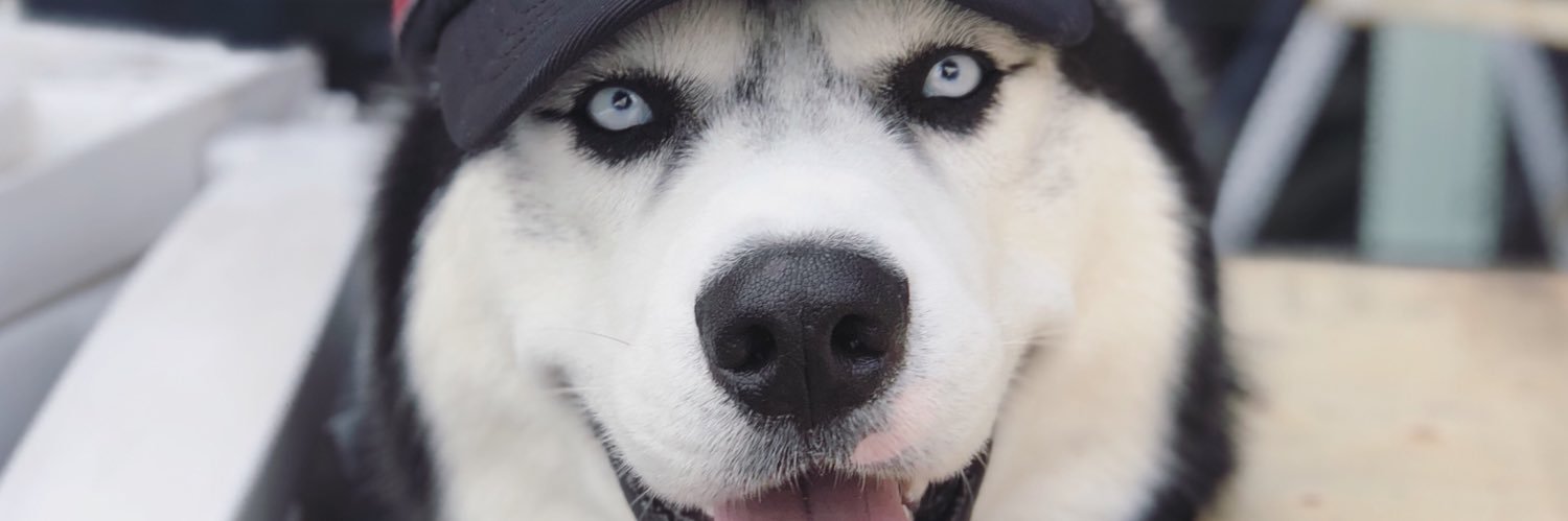 MaxSmeets's profile banner image