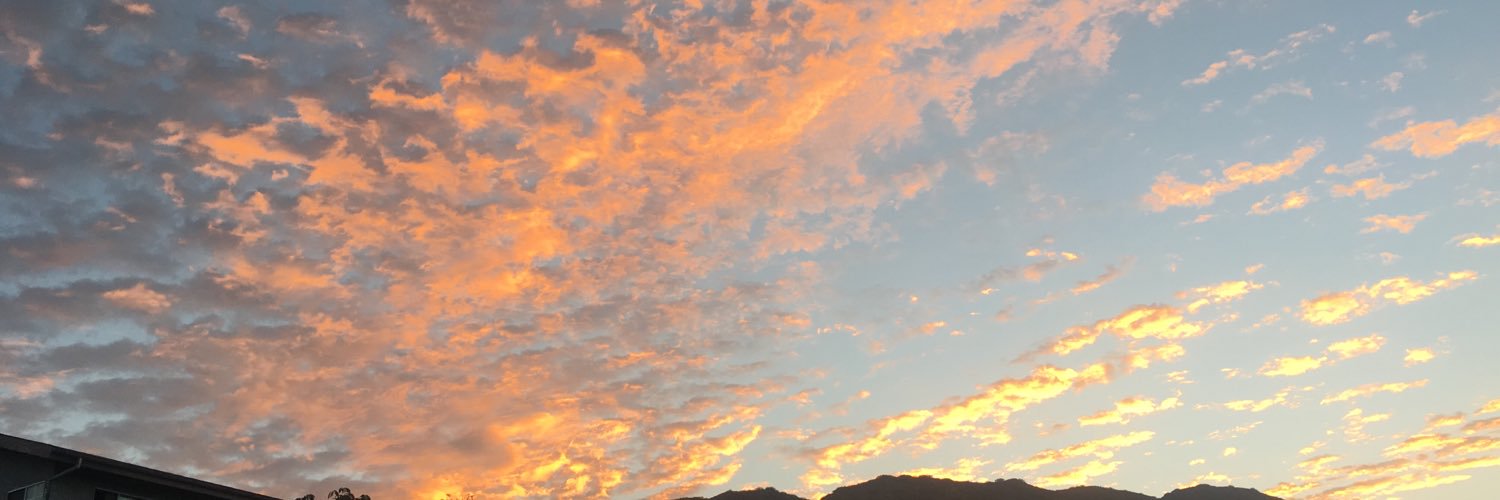 Hailey3727's profile banner image