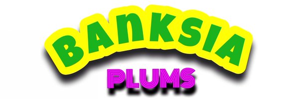 BanksiaPlums Profile Banner