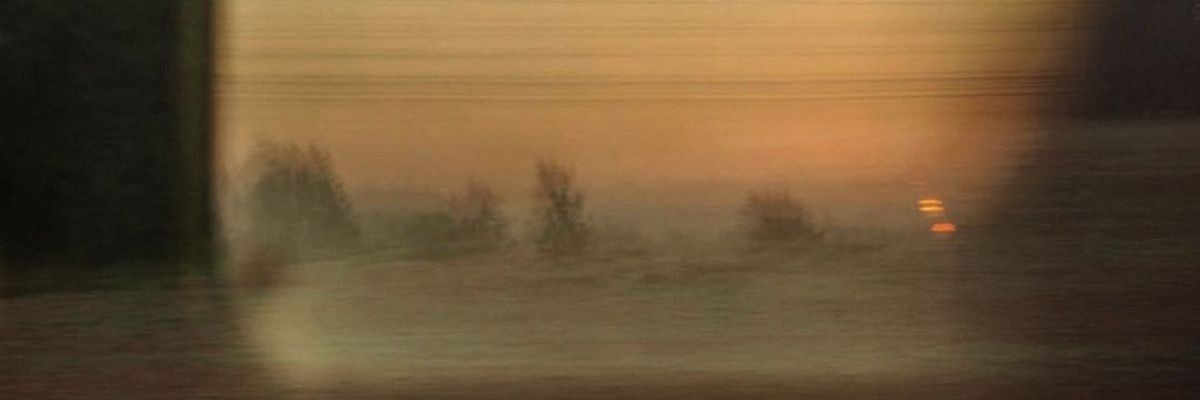 neófita 🌙's banner