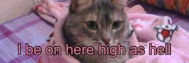 demonkitty1025's profile banner image