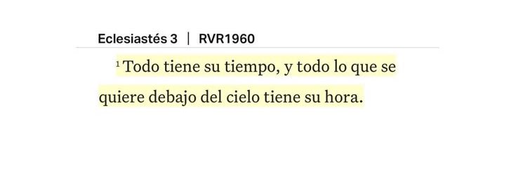 𝑱𝒂𝒏𝒊𝒏 𝑨. banner