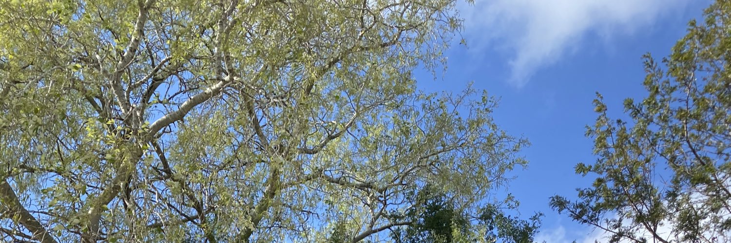 ✨✨ banner