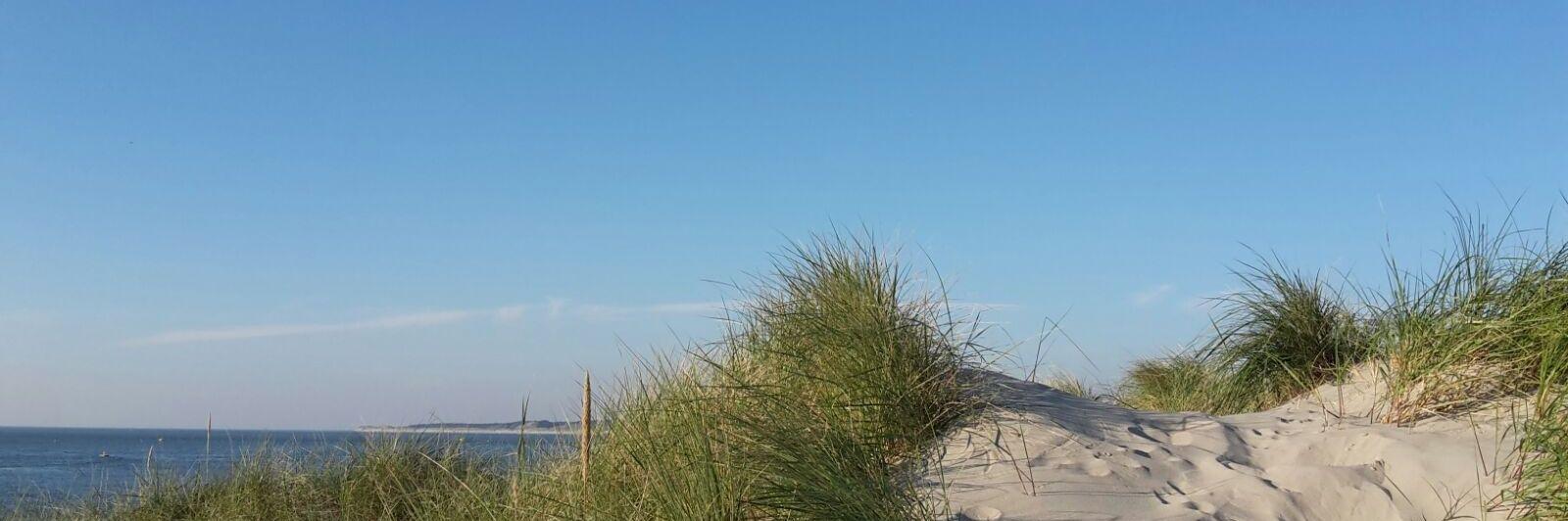 Sieuwke Gerbrandij banner