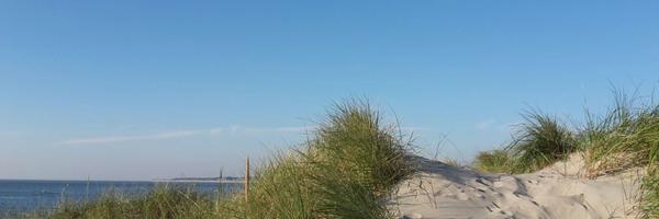 sjoewke Profile Banner