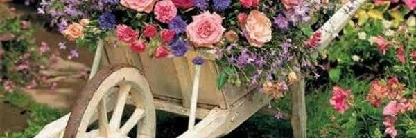 NancyTr_28's profile banner image