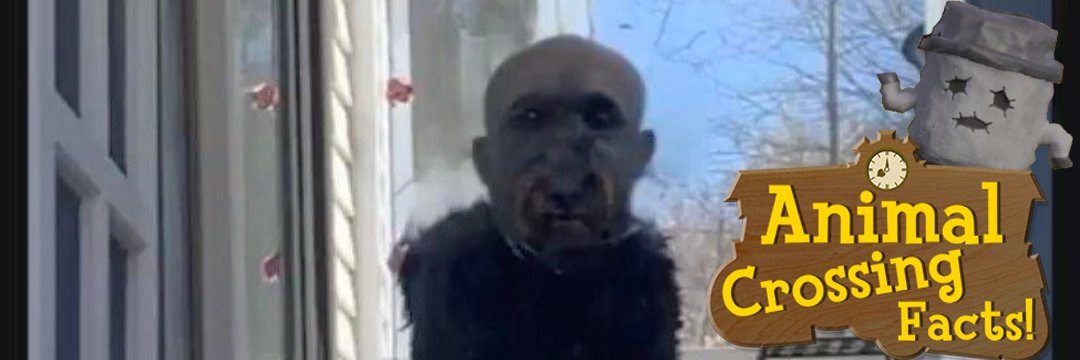 Animal Crossing Facts banner