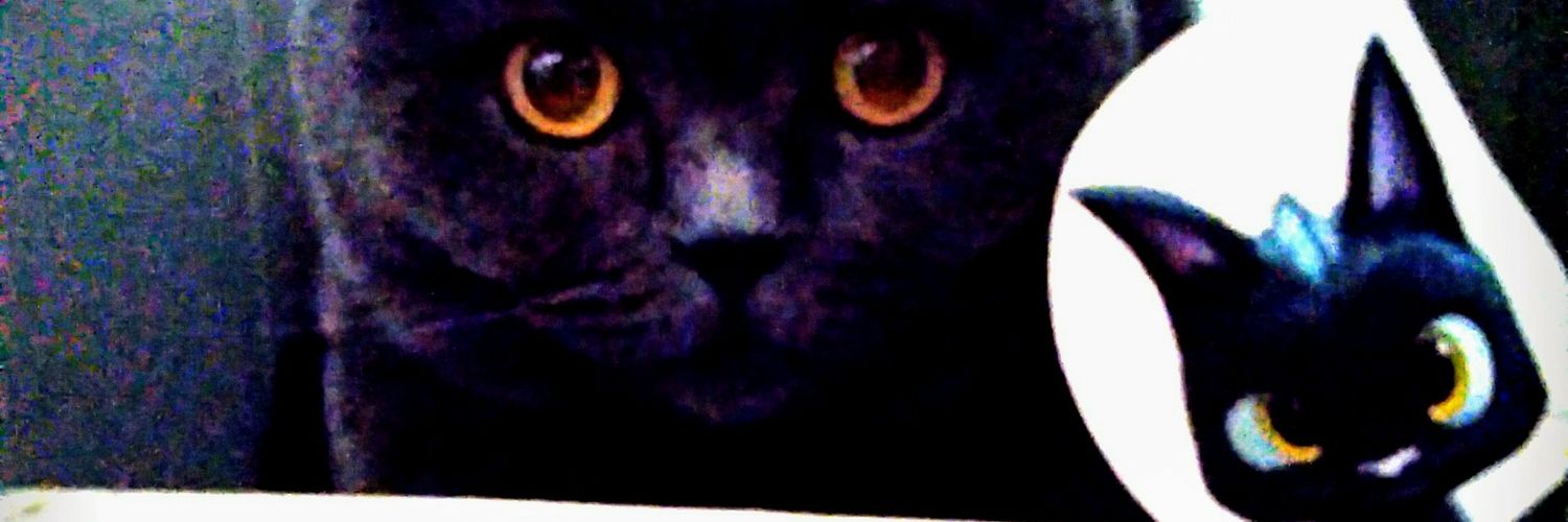 bruecat's profile banner image