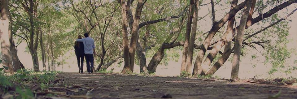 gari_py's profile banner image