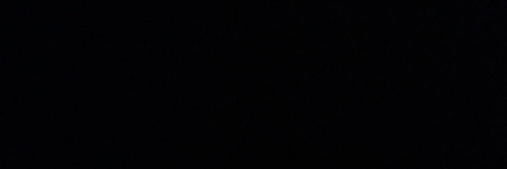 Wave Gotik Treffen banner