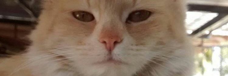 FacundoGauna19's profile banner image