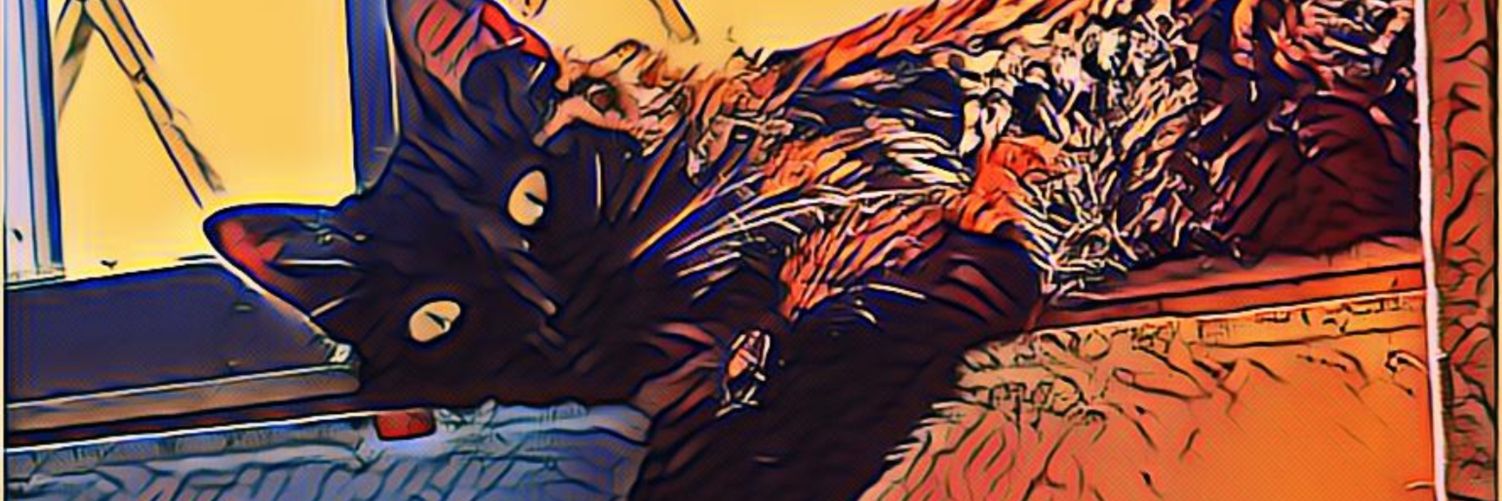 IvysMantilla's profile banner image