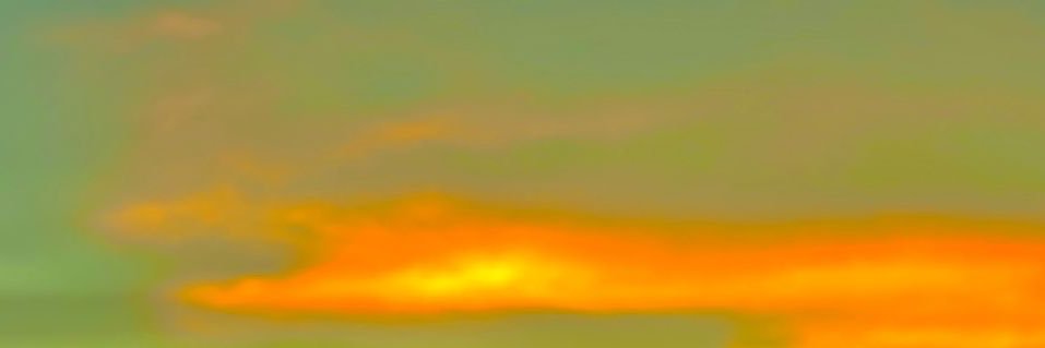 RenataButarell2's profile banner image