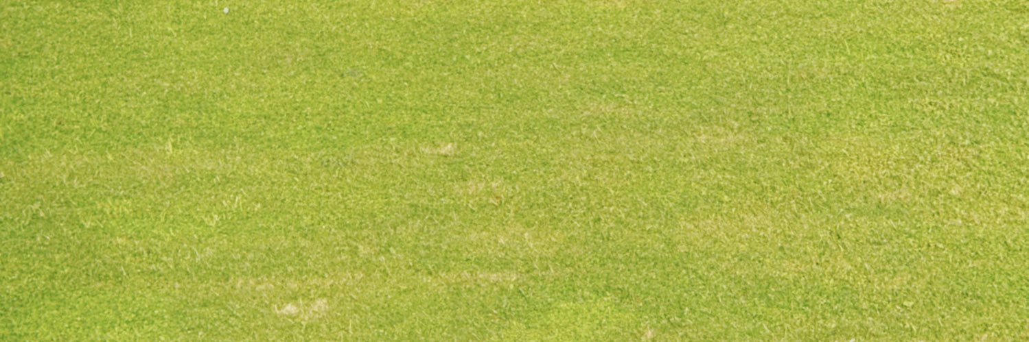 memo95052's profile banner image