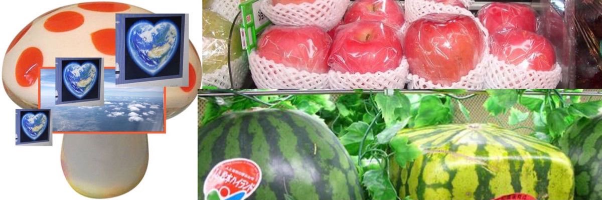 leighbit ˚₊‧꒰ა ☆ ໒꒱ ‧₊˚ vvup head promoter banner