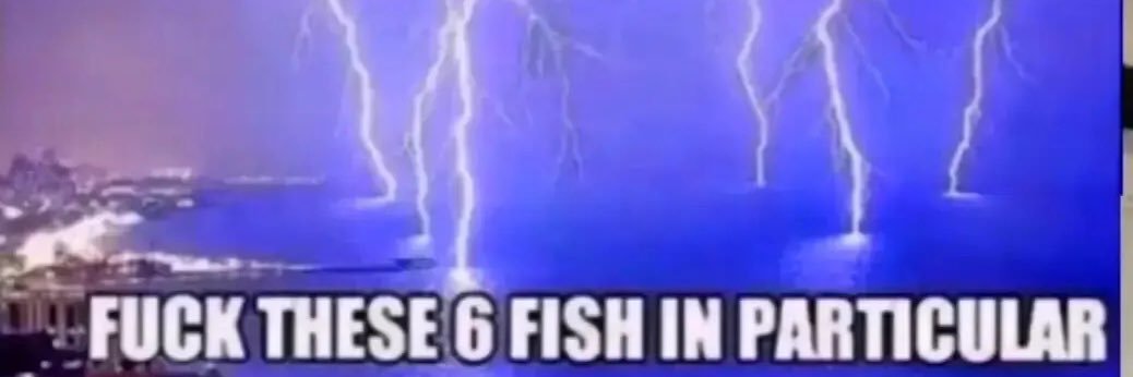 lighting_boy301's profile banner image